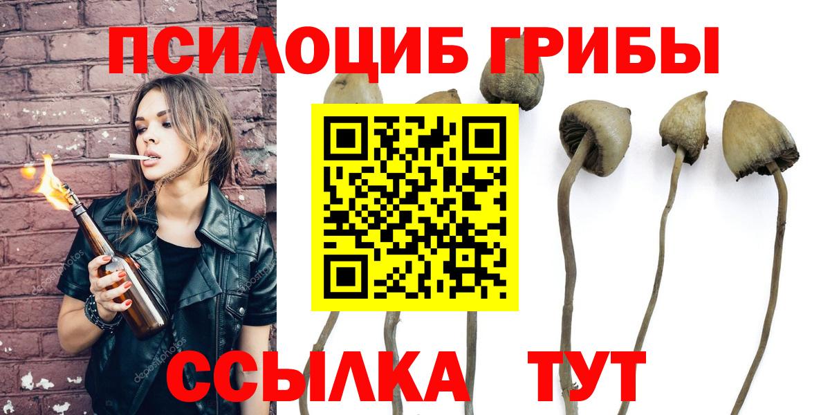 Галлюциногенные грибы Psilocybe Рузаевка